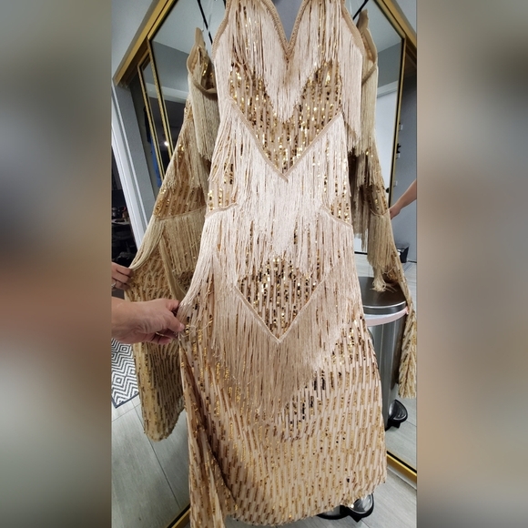 Elegant Beige Fringe Gown - Picture 3 of 11